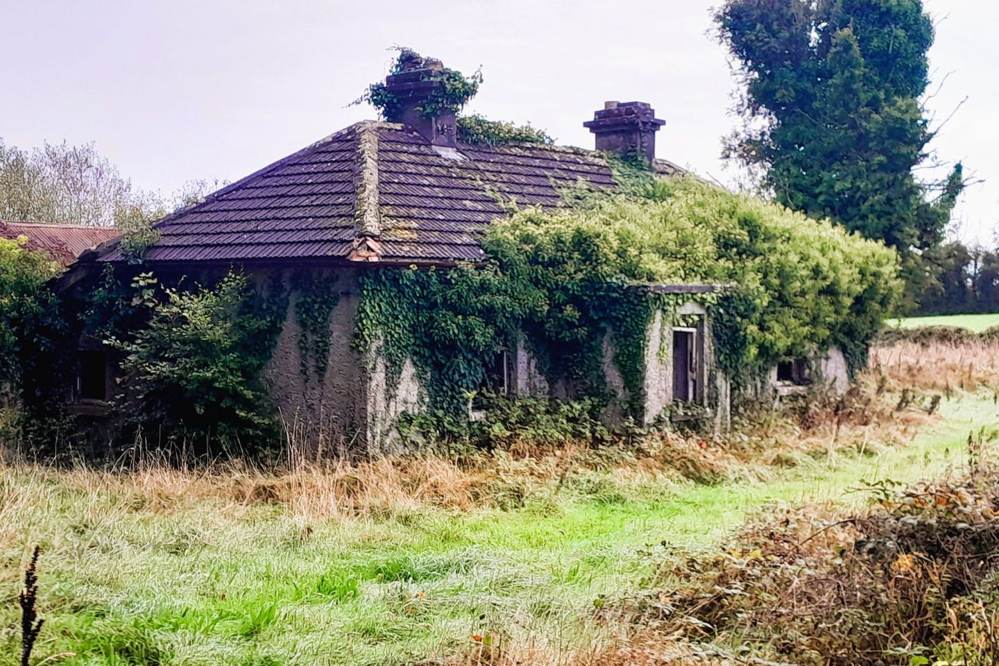 Toorfin Shroid , Longford Town, Co. Longford