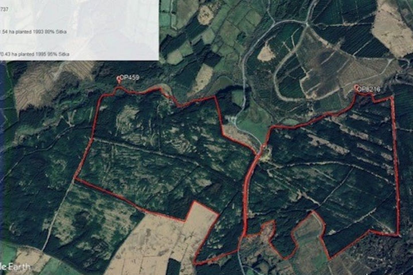 Patrick Jones - Forestry Sale, 2 Gortaderra, Feakle, Limerick