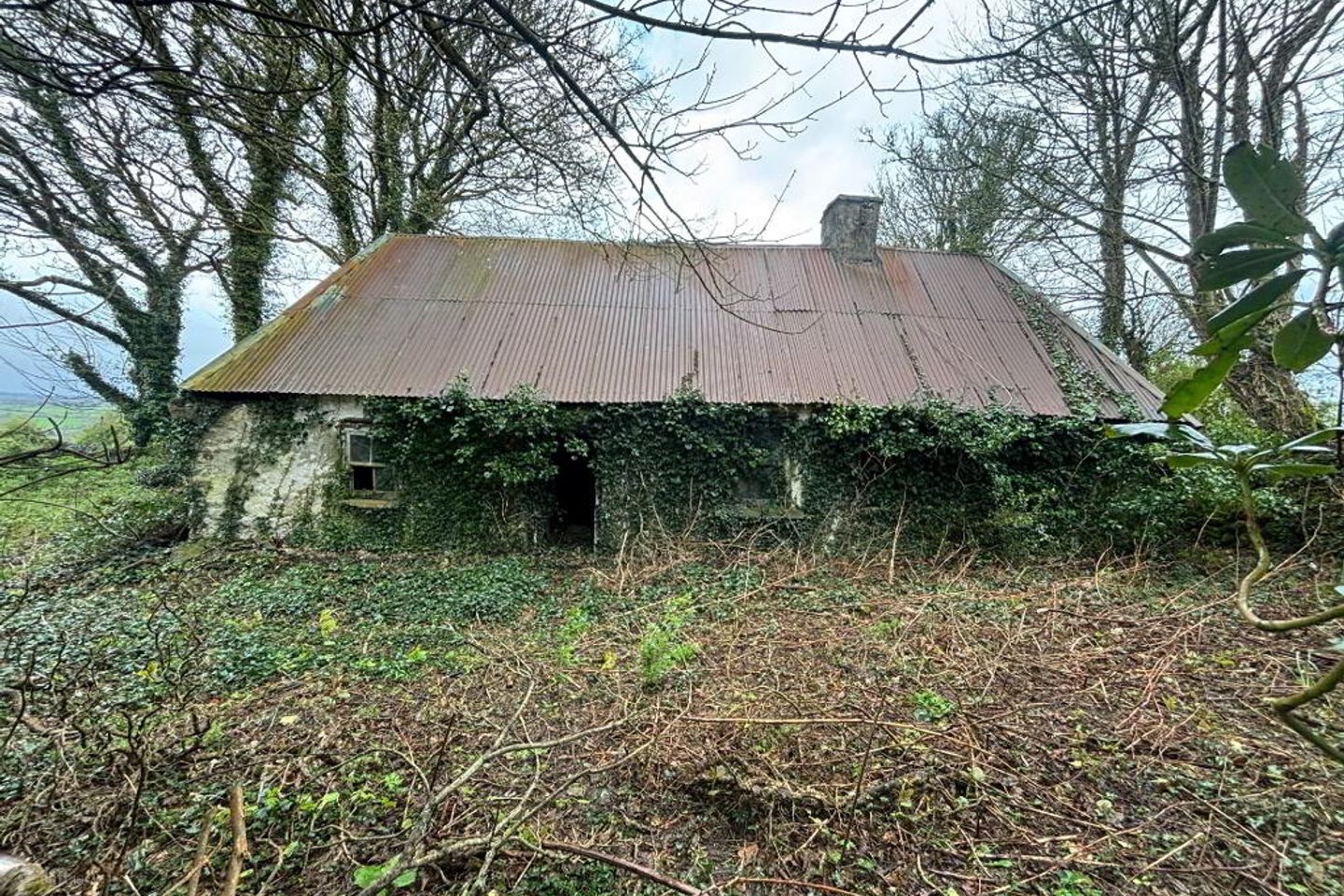 Derry, Banteer, P51E5C7