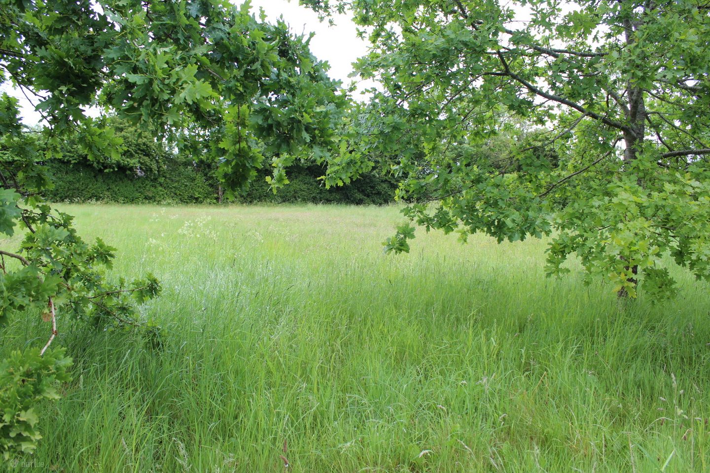 0.75 Acre Site Slyguff, Slyguff,, Bagenalstown,, Co. Carlow