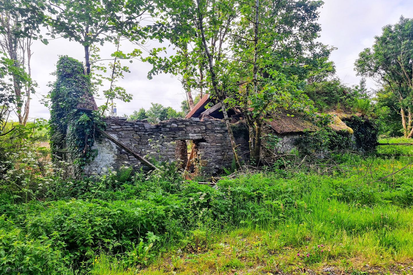 Copplecurragh, Charlestown, Co. Mayo