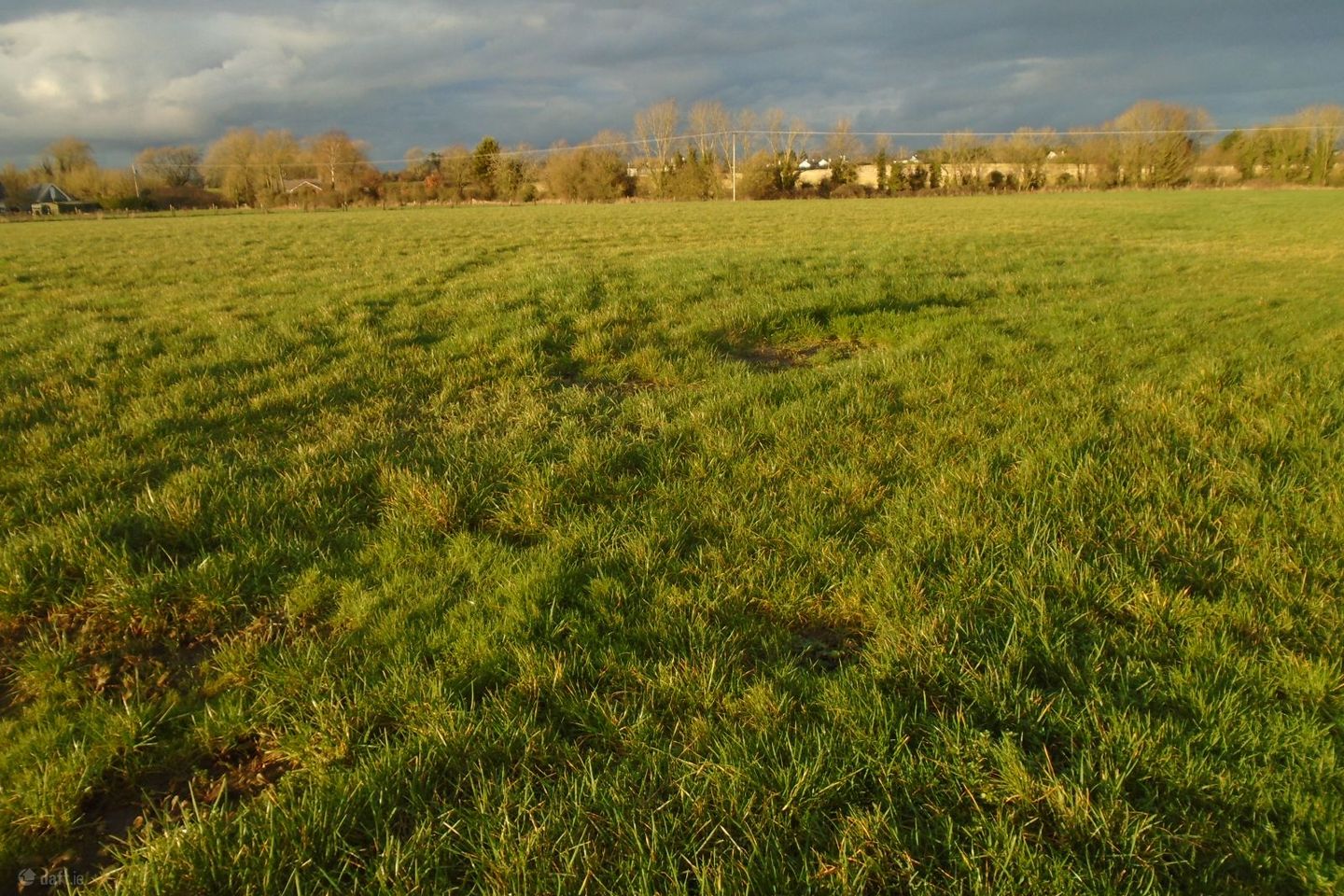 Shellumsrath Kilkenny, Kilkenny, Co. Kilkenny