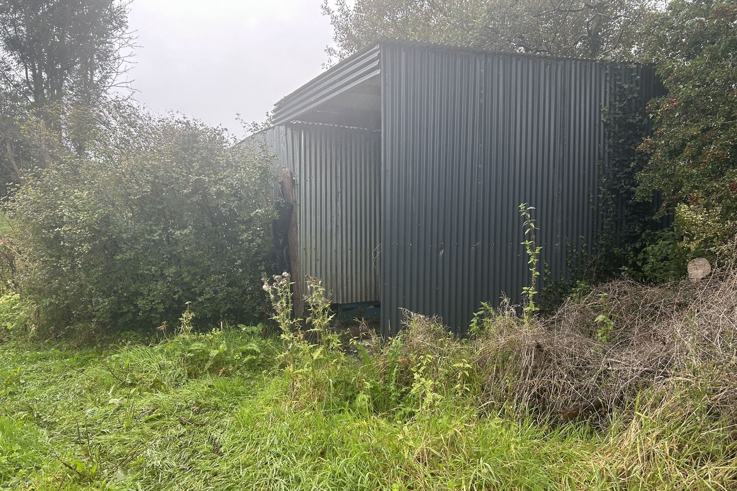 Dromore, Farranfore, Co. Kerry