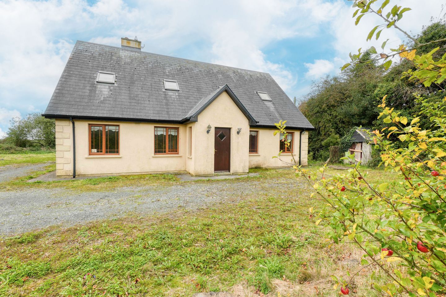 Derrylusk, Mountrath, Co. Laois, R32P8H4