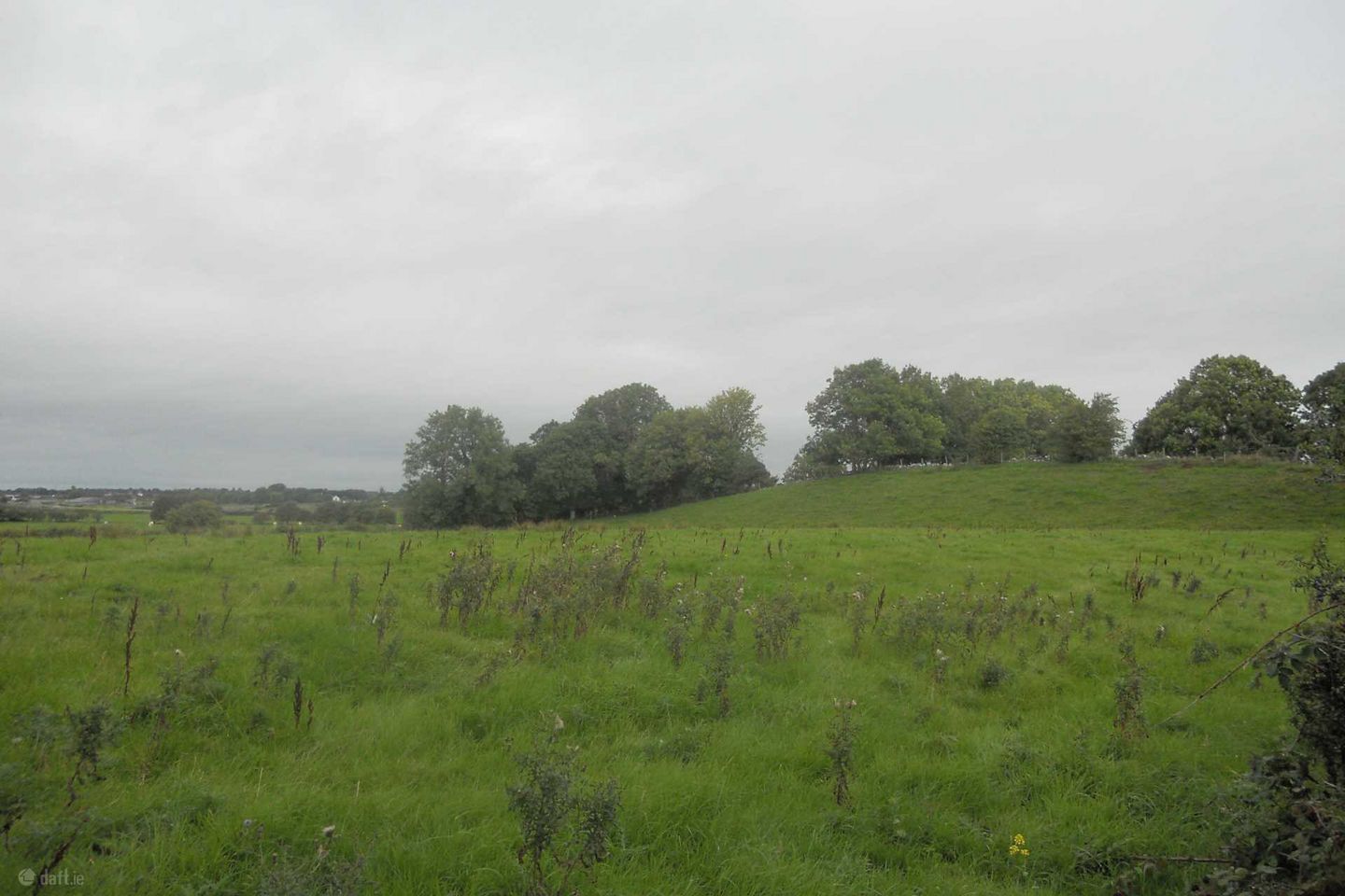 Grange Site, New Inn, Ballinasloe, Co. Galway