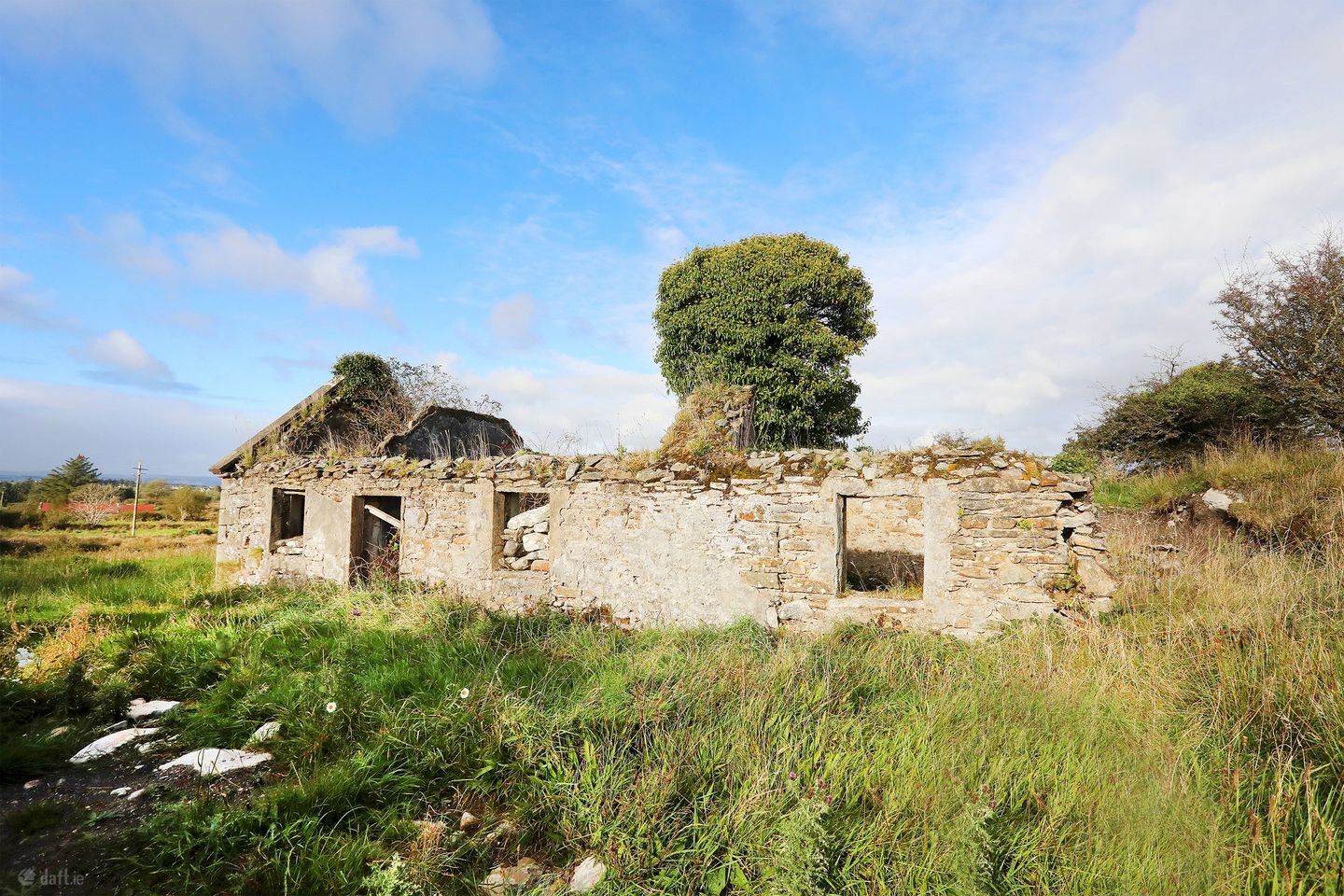 C. 12.5 acres & Derelict Cottage, Curryane, Swinford, Co. Mayo