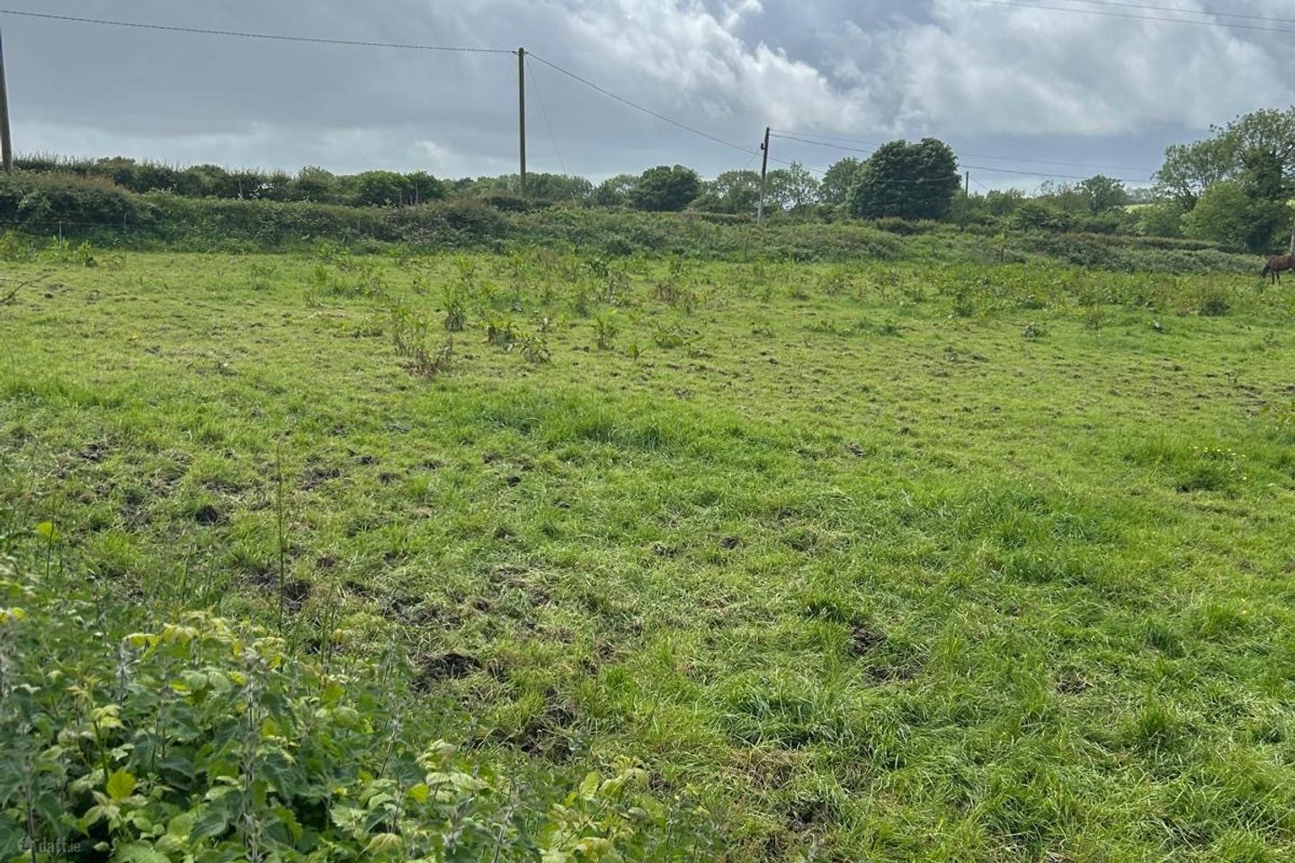 Carriganassa, Killeagh, Co. Cork