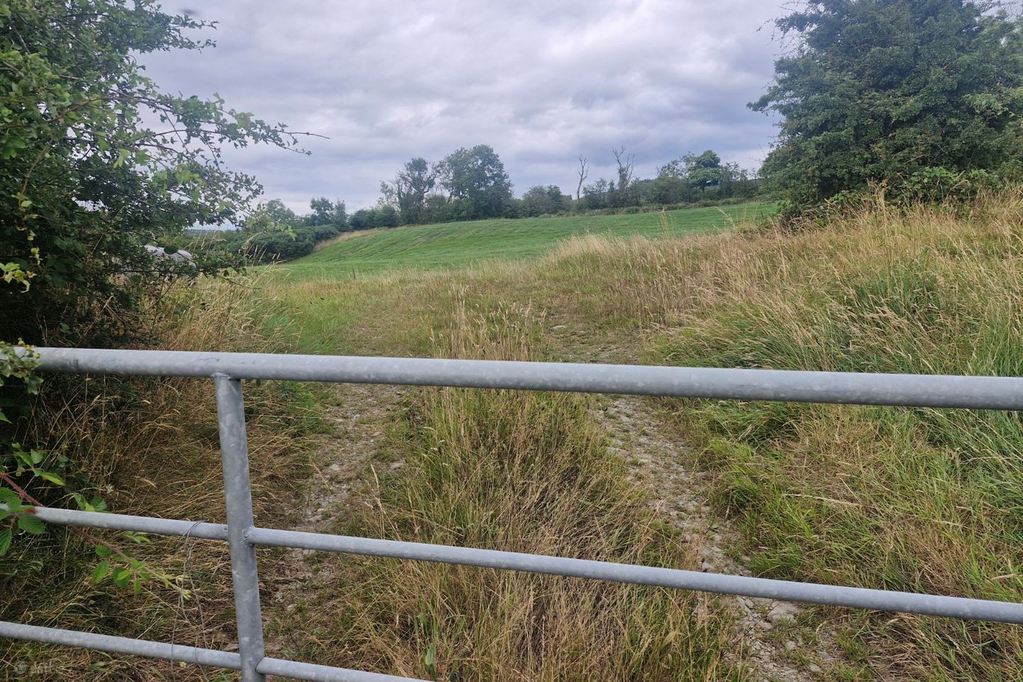 Copponagh Lane, Coppanagh, Co. Cavan