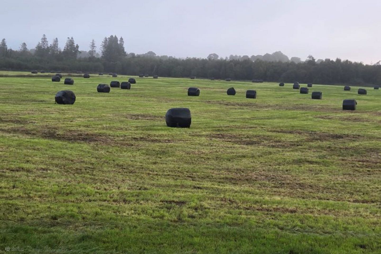 Glencarra, Loughanavalley, Co. Westmeath