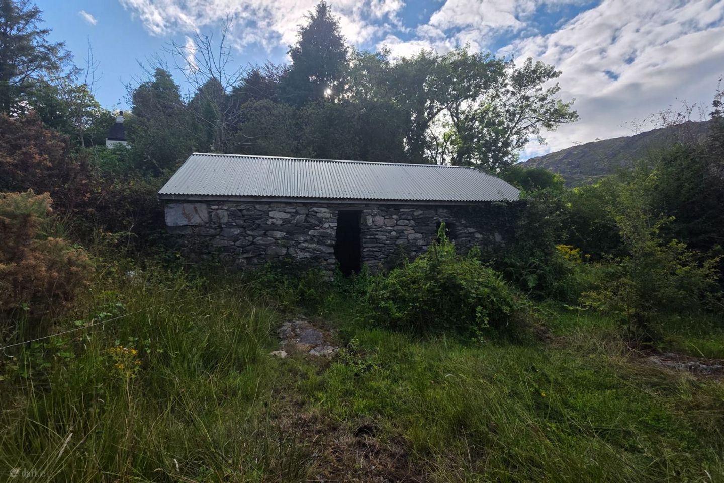Derryconnery, Glengarriff, Co. Cork