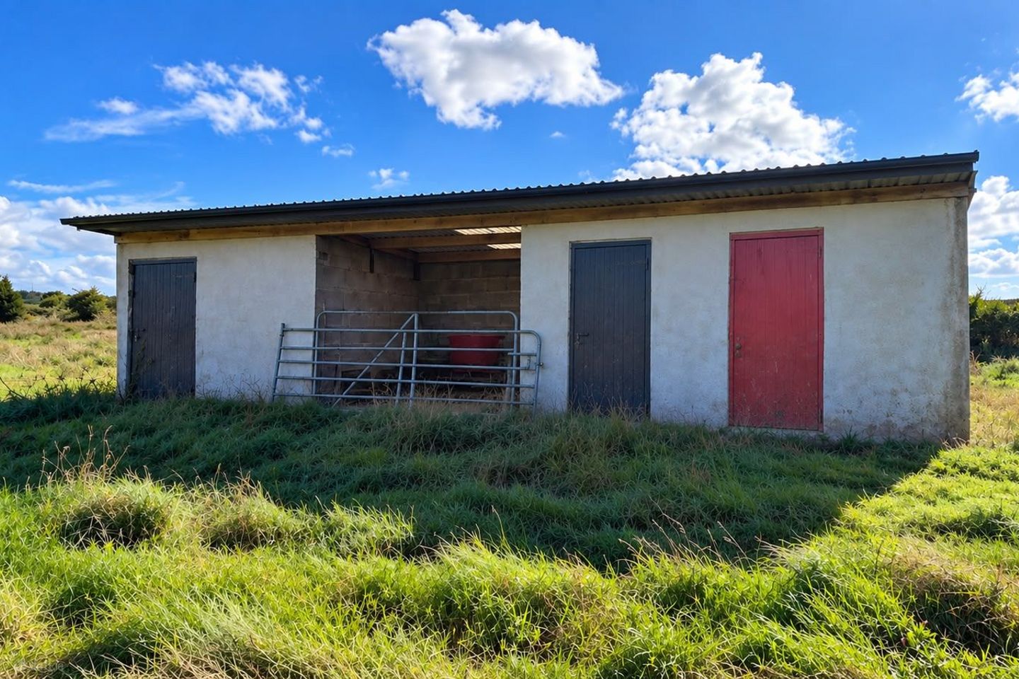 Meeltraun, Cloonfad, Co. Roscommon