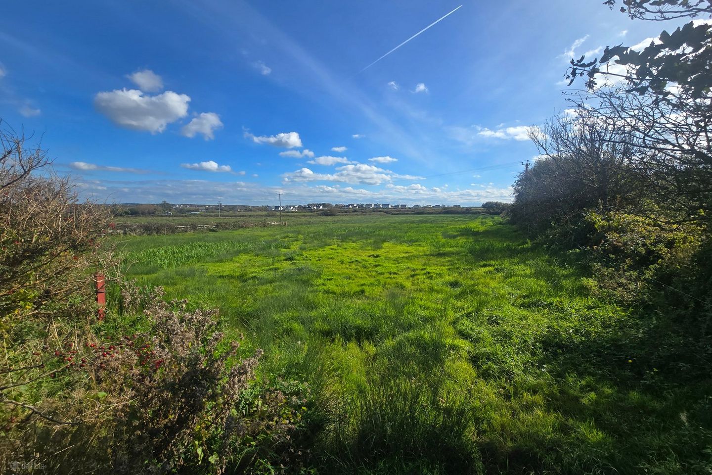Doonmore, Doonbeg, Co. Clare