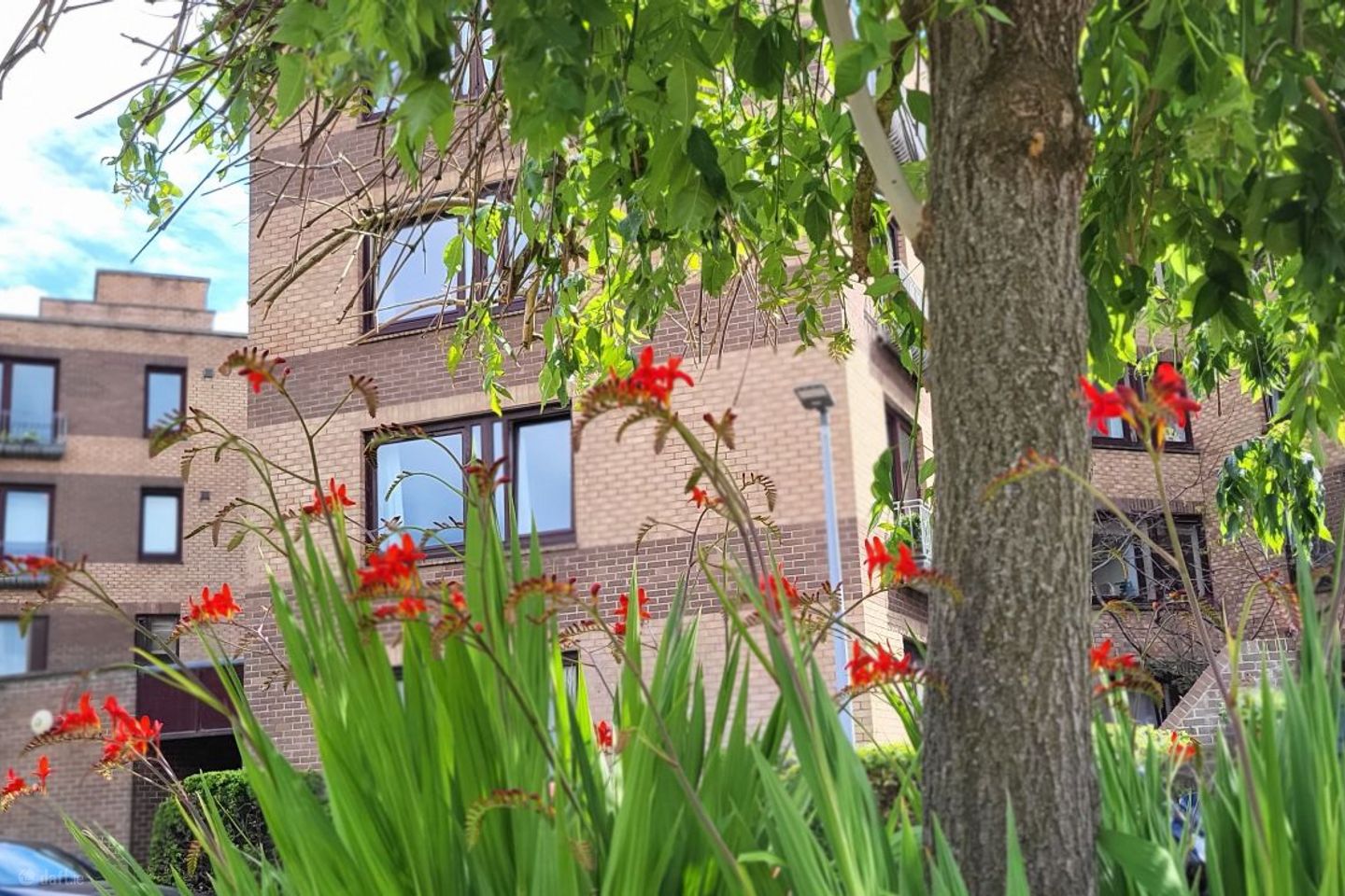 Belfield Court, Donnybrook, Co. Dublin