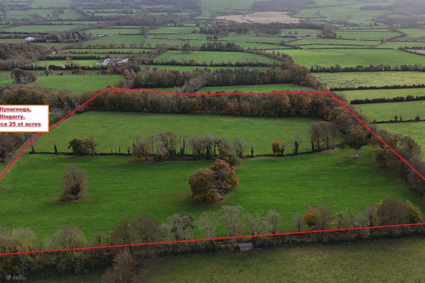 Ballynarooga, Ballingarry, Limerick, Co. Limerick