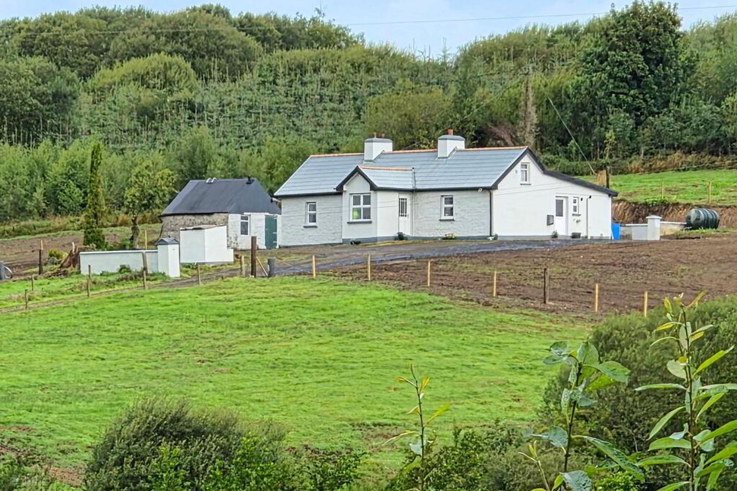 Derrindrehid, Aghavas, Co. Leitrim, H12CF95