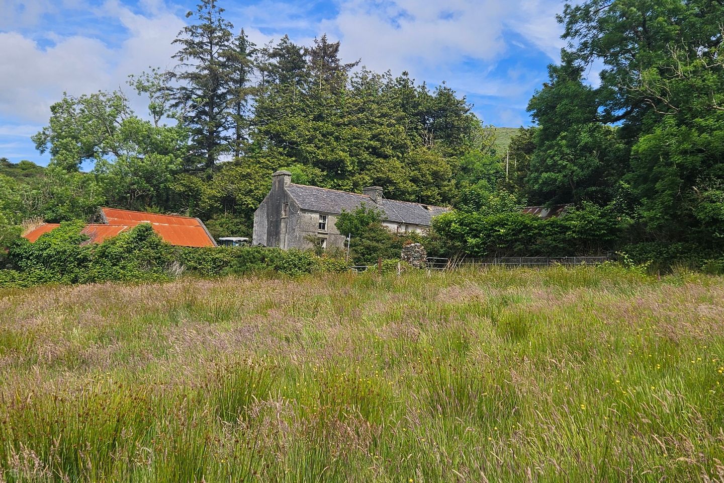 Residential Farm Holding - 33 Acres, Scarteenakillin, Ballydehob, Co Cork, P81NW22