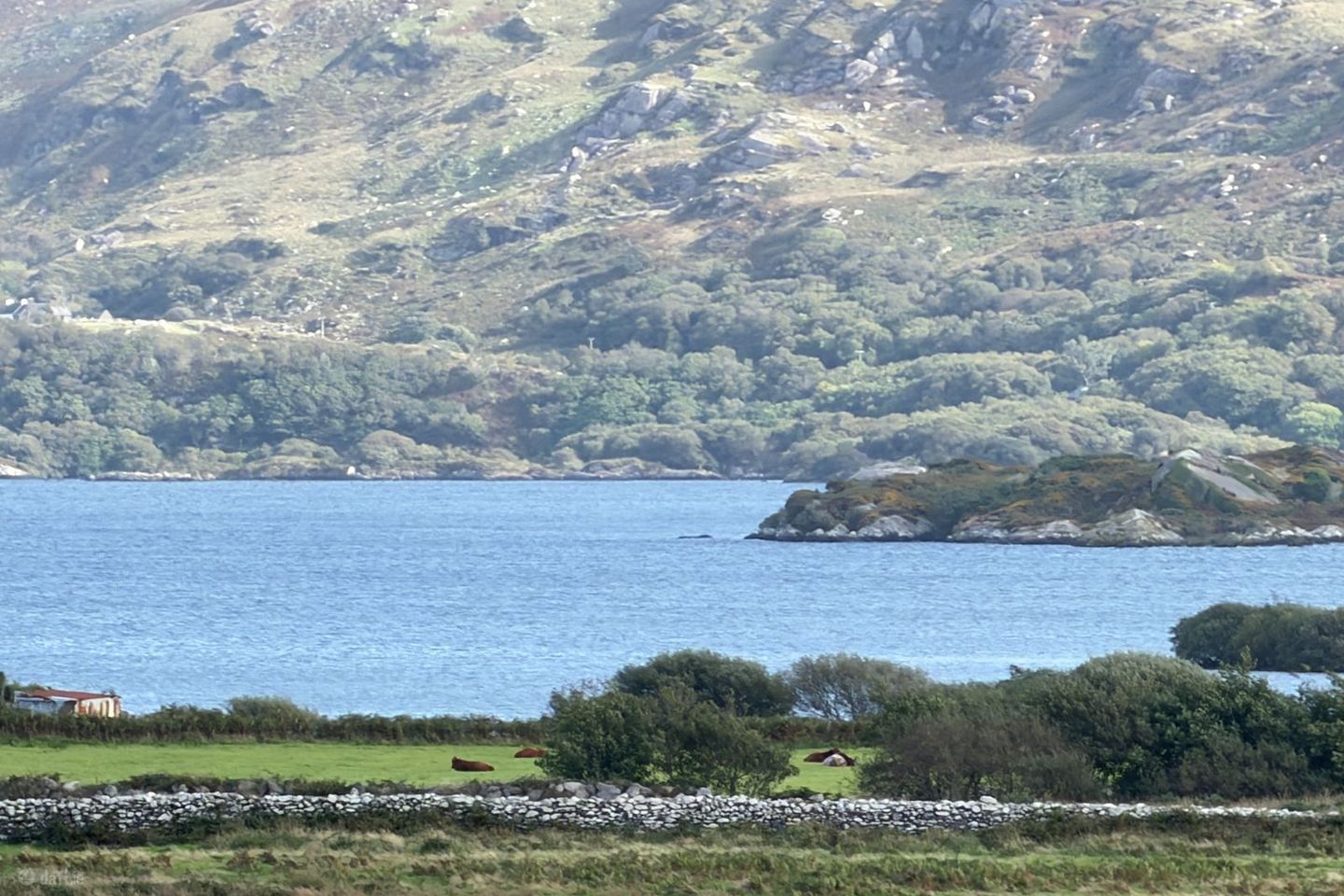 Beenbane, Waterville, Co. Kerry, V23F653