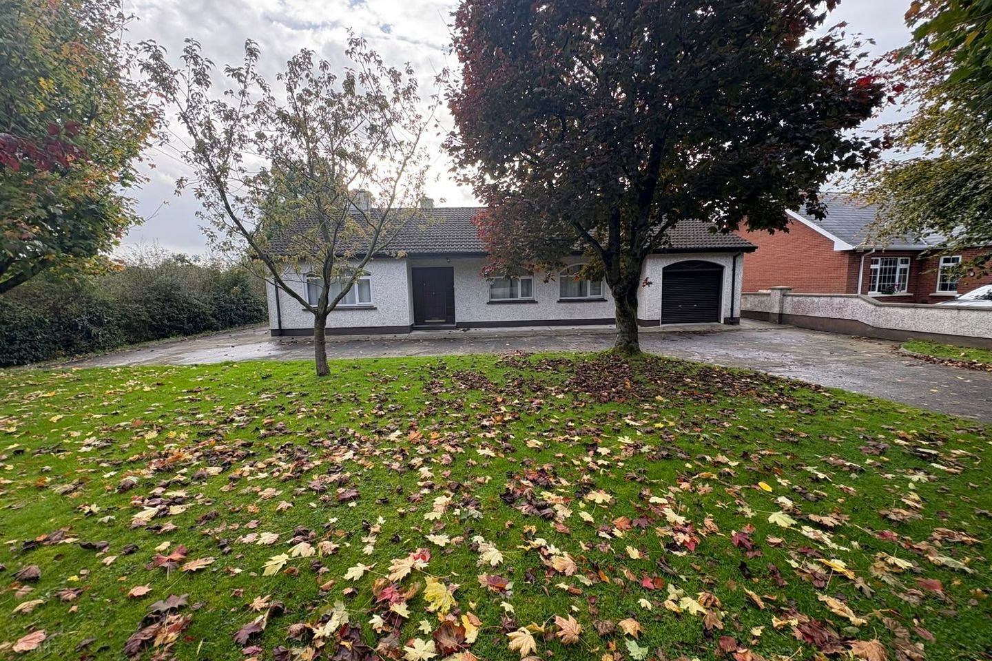 Drumgoan, Carrickmacross, Carrickmacross, Co. Monaghan