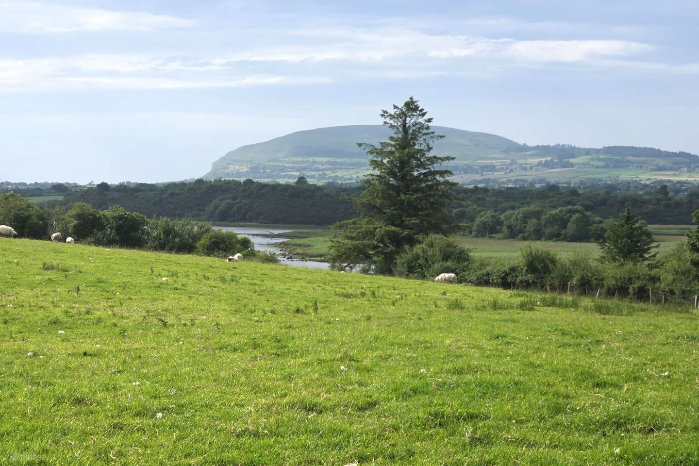Crockacullion, Beltra, Beltra, Co. Sligo, F91D3C8