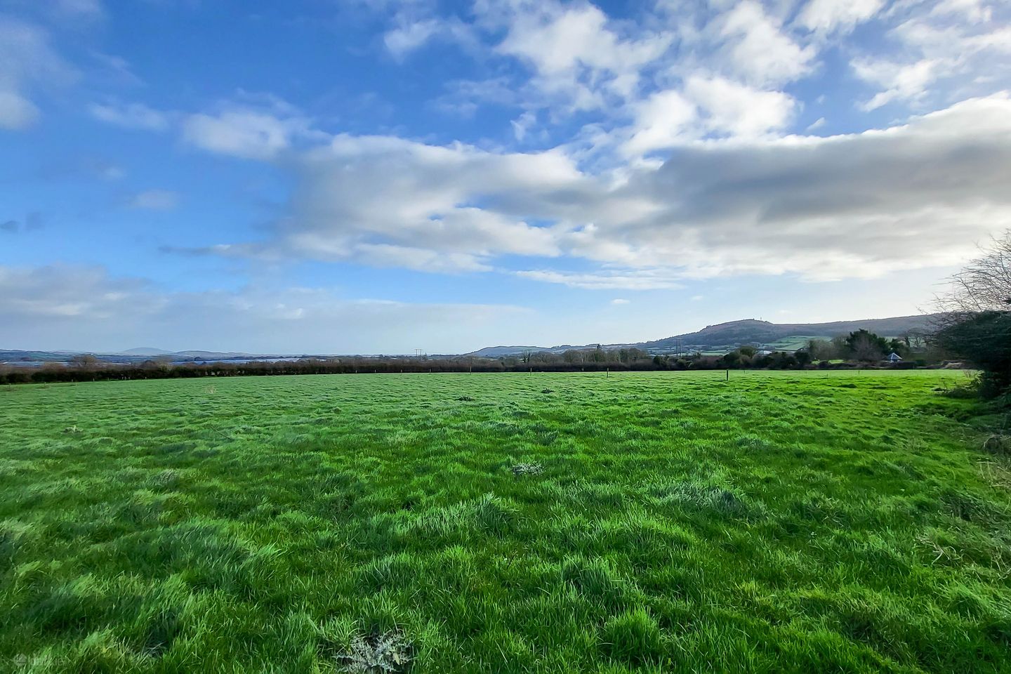 Mileshogue, Camolin, Gorey, Co. Wexford