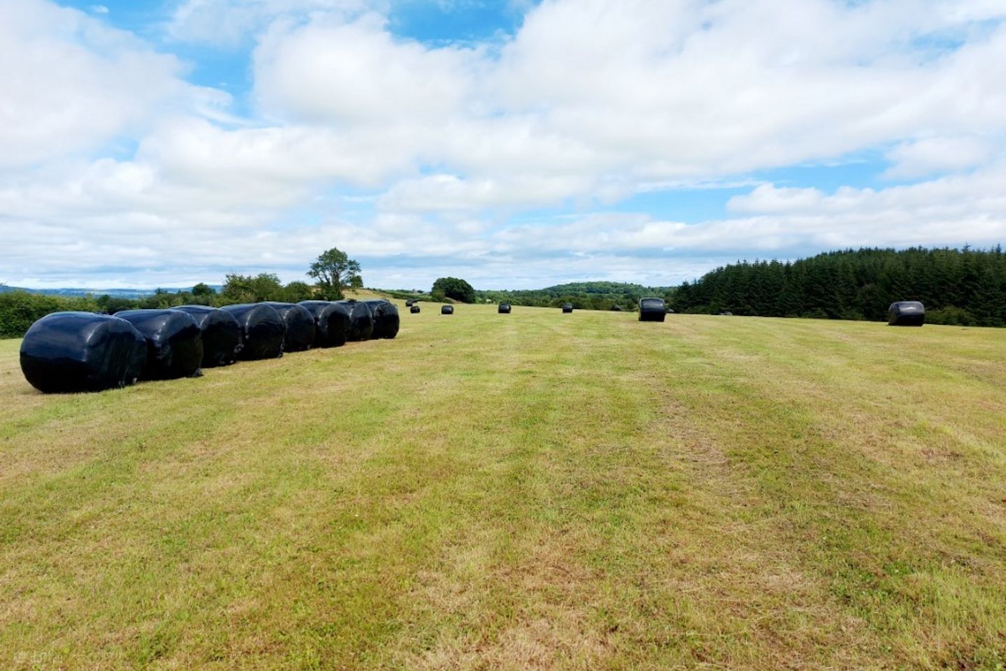 Garruragh, Tulla, Co. Clare