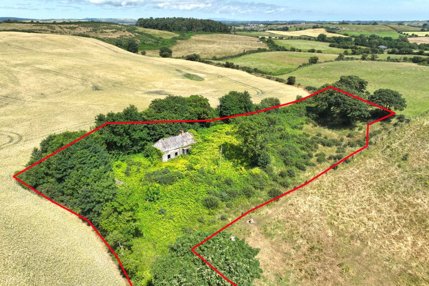 Derelict Cottage on c. 1.26 Acres at Ballina Upper, Blackwater, Co. Wexford, Y21H2K2
