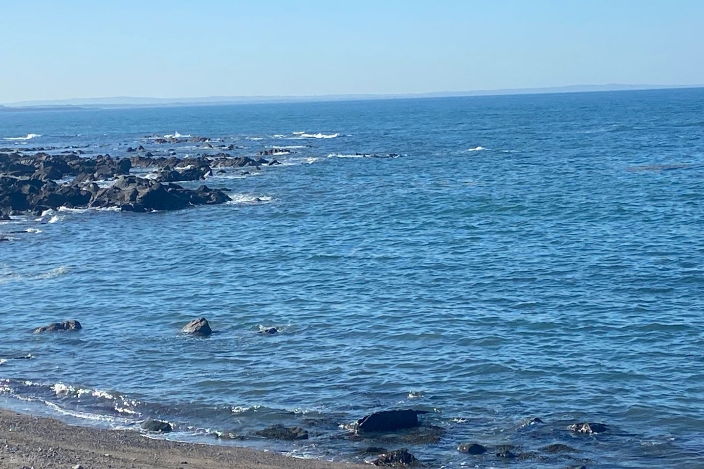 Sanderling, Barnageeragh Cove, Skerries, Skerries, Co. Dublin
