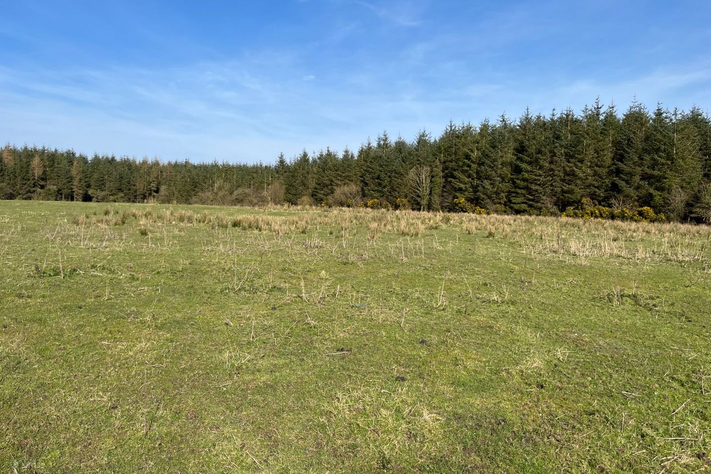 Ballydrimnagh, Streamstown, Tynagh, Co. Galway