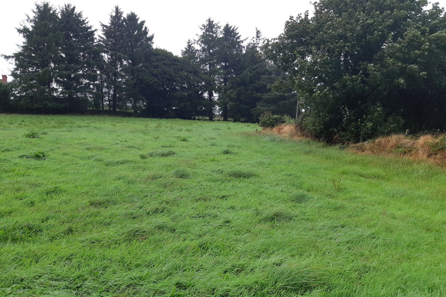 Ballinard, Ballineen, Co. Cork