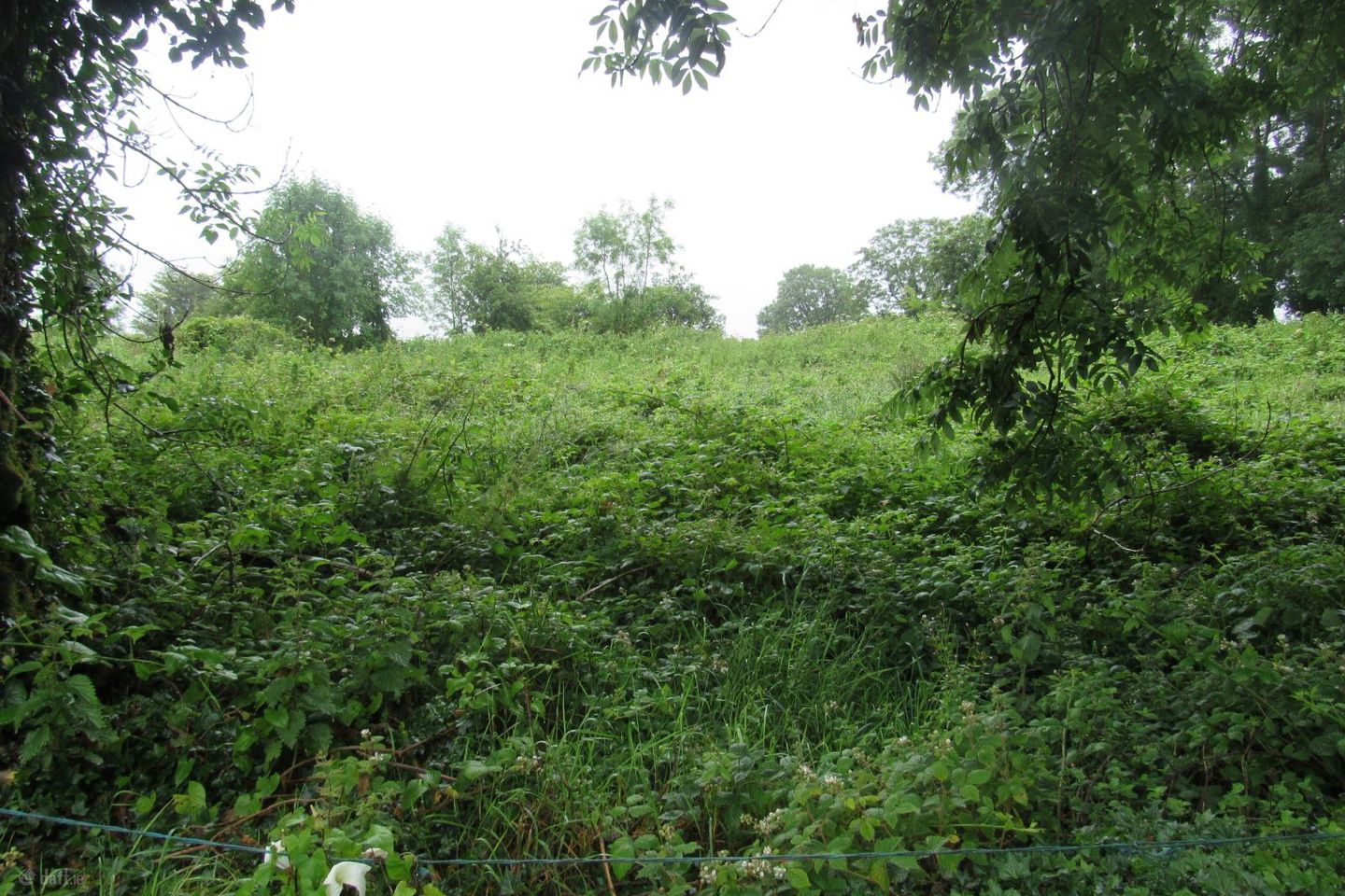 Barnahesker, Kilkelly, Co. Mayo