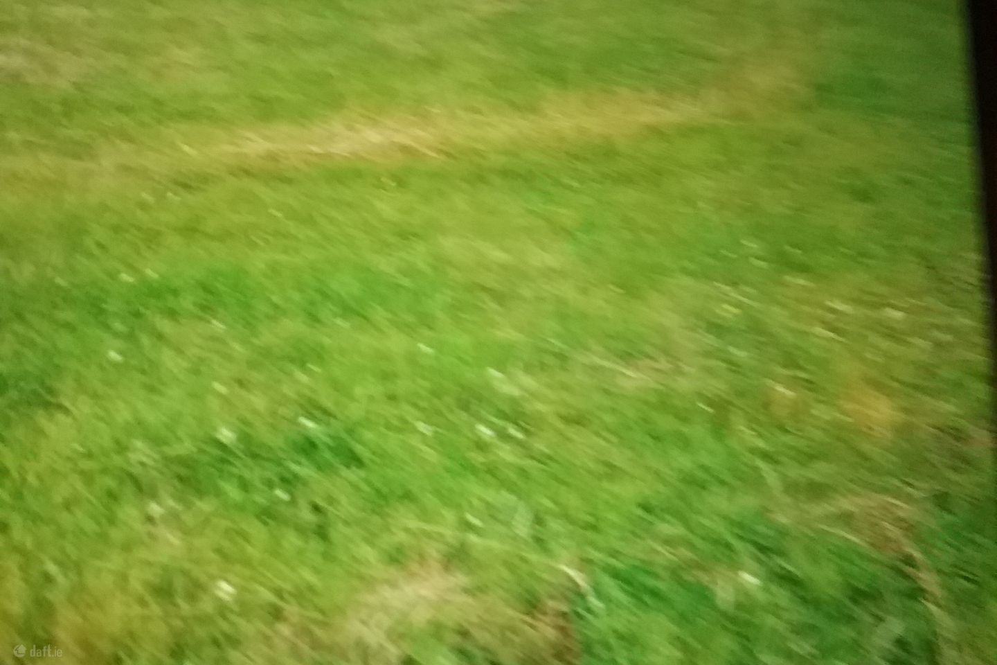 Lecarrow, Craughwell, Co. Galway