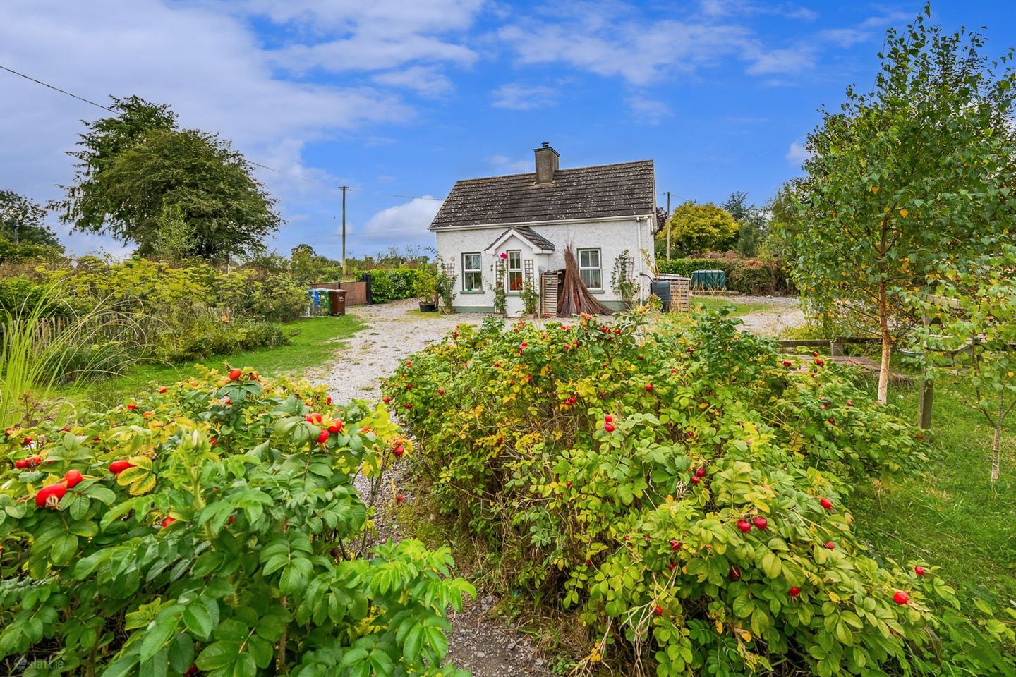 Clonboo, Templetuohy, Clonmore, Co. Tipperary, E41VY10