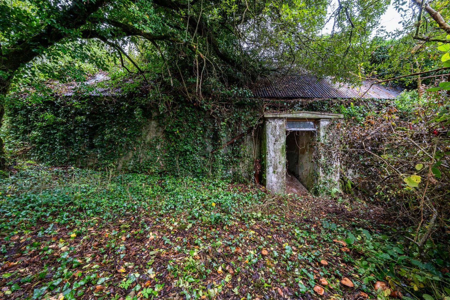 Aughnaglace, Cloone, Co. Leitrim, Eircode Next Door, N41DE09