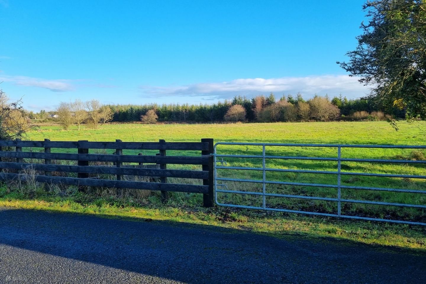 Cloonlee, Ballinlough, Ballinlough, Co. Roscommon