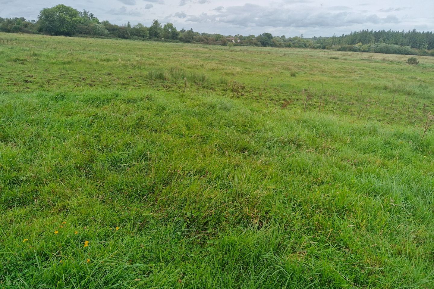 Moher, Ballinasloe, Co. Galway