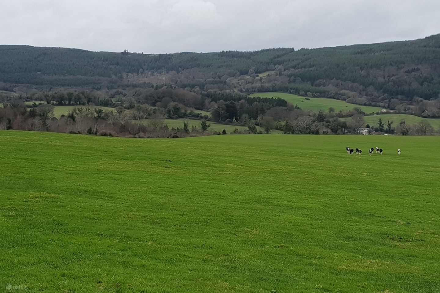 Site 0.75 acre Ballylusk, Ashford, Co. Wicklow