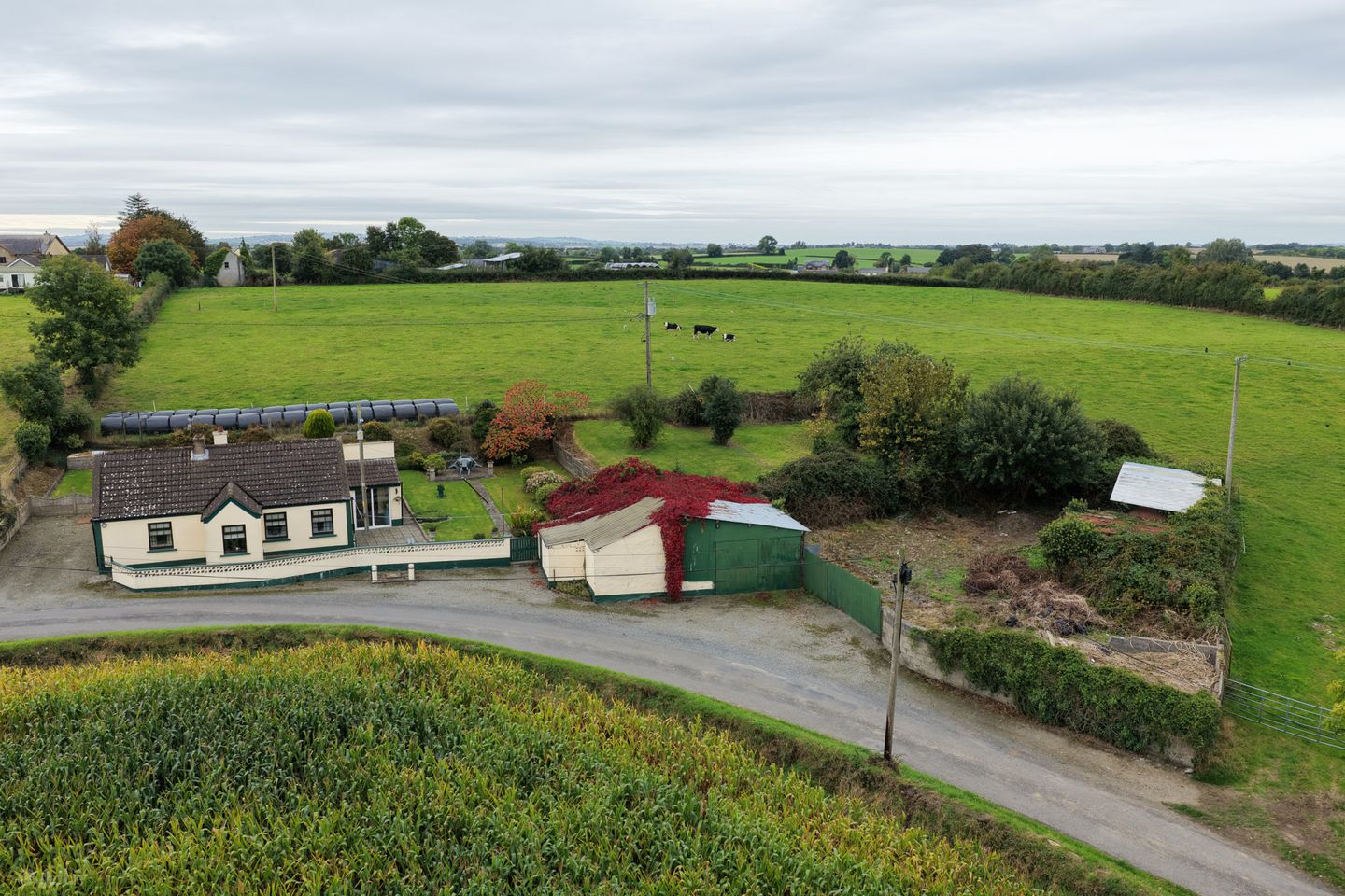 House, Workshop, Yard & Gardens, Mullagh Lane, Dromiskin, Co. Louth, A91 HT67