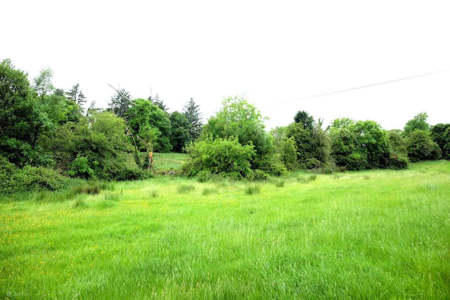 Turoe, Bullaun, Loughrea, Co. Galway