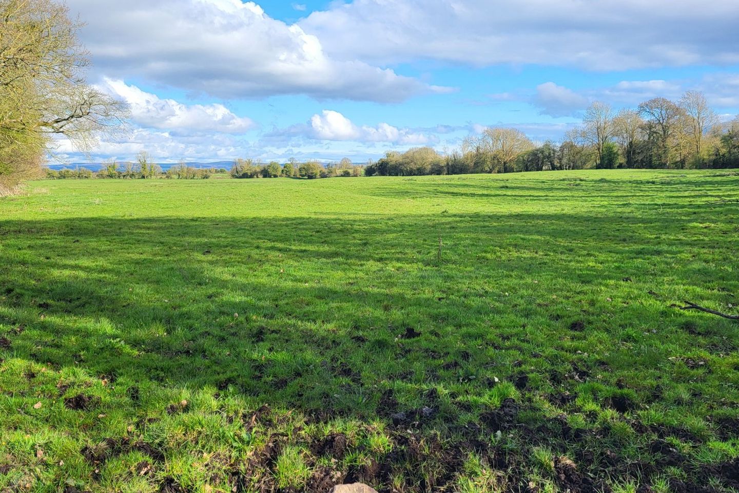 Derrylahan, Rathcabbin, Co. Tipperary