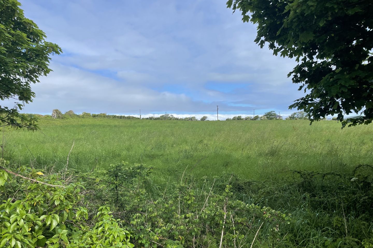 Sackville, Ardfert, Co. Kerry
