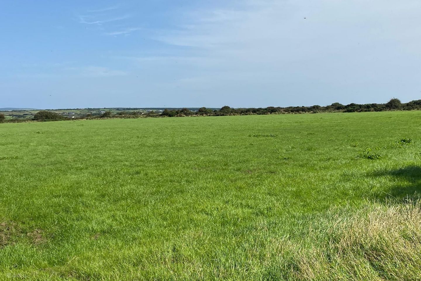 Rahona West, Carrigaholt, Kilrush, Carrigaholt, Co. Clare, V15PK07