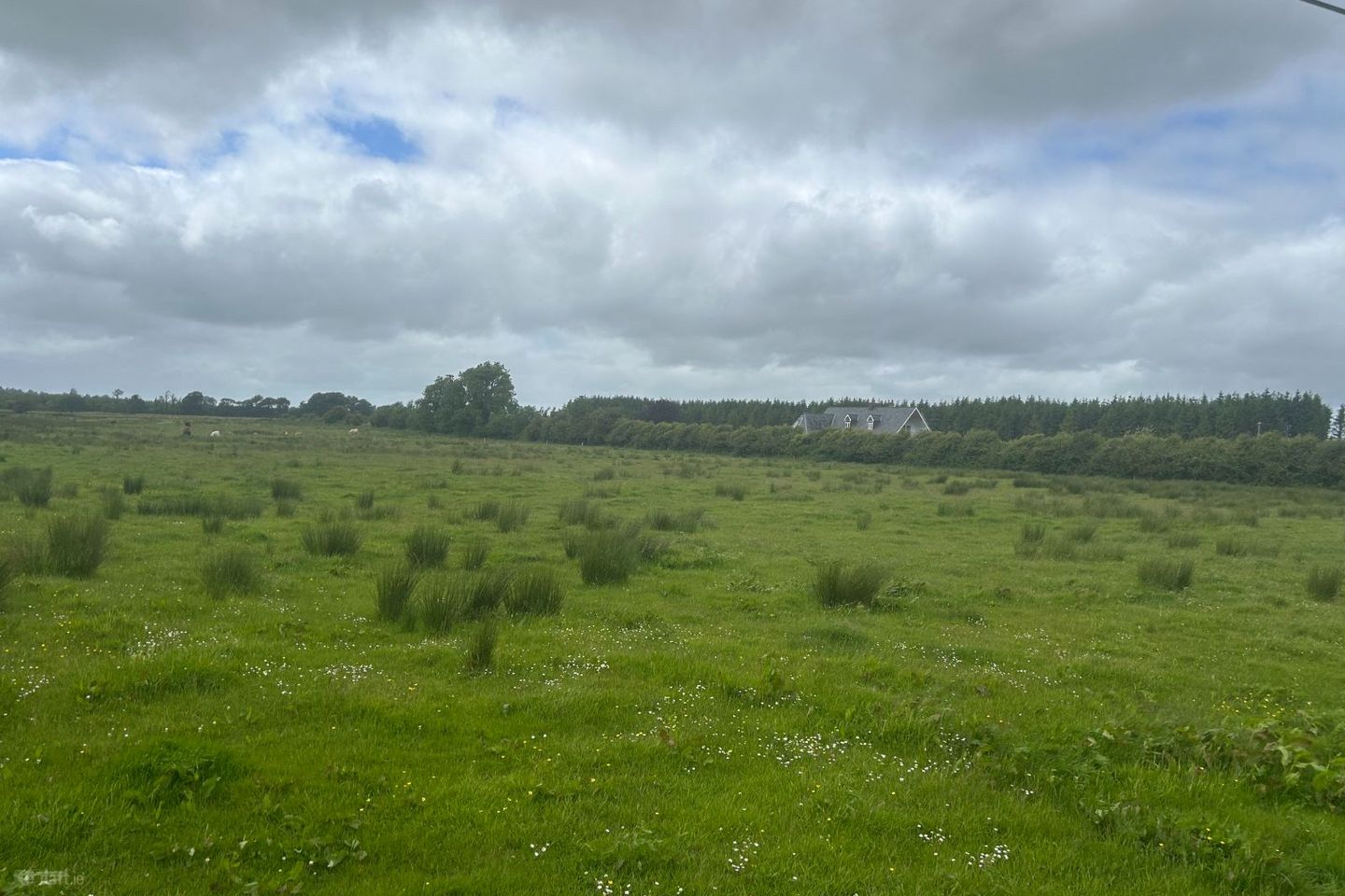 Kilvoy, Mantua, Elphin, Co. Roscommon