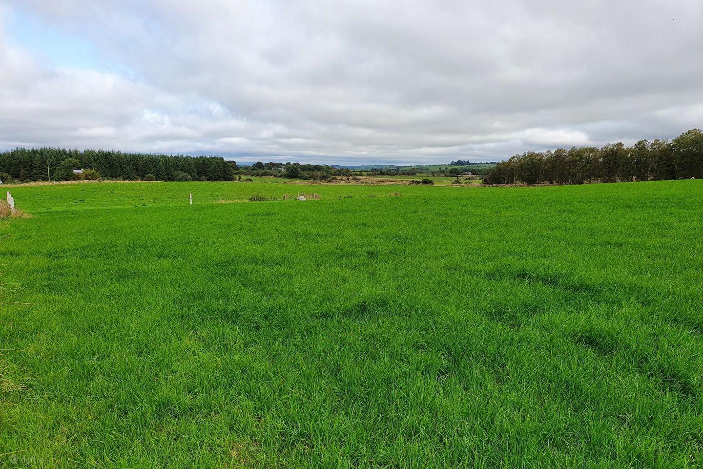 Newcestown, Bandon, Co. Cork