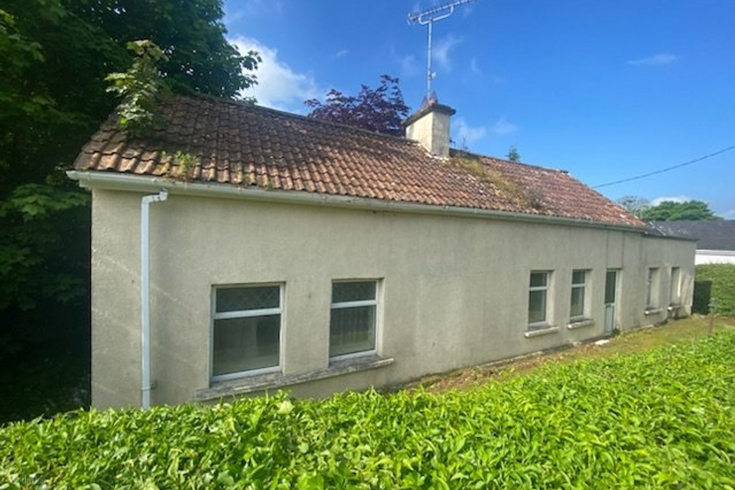 Church Street, Collinstown, Co. Westmeath, N91X791