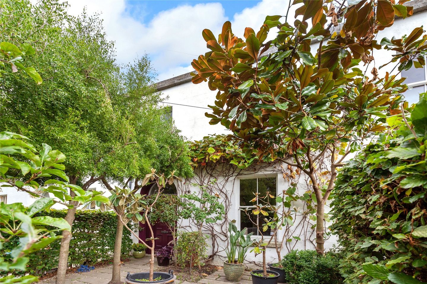 3 Carlisle Avenue, Donnybrook, Dublin 4, D04F6F8