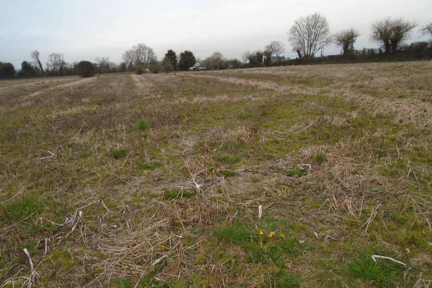 Ballyrafton Dunmore Co Kilkenny, Dunmore, Co. Kilkenny