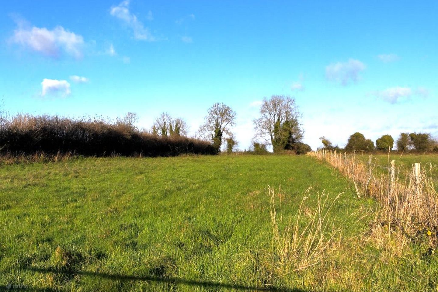 Clongorey, Newbridge, Newbridge, Co. Kildare