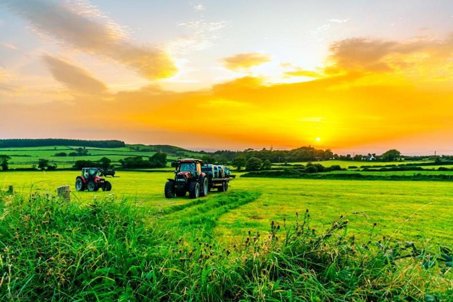 Glenagoul, Kildinan, Co. Cork