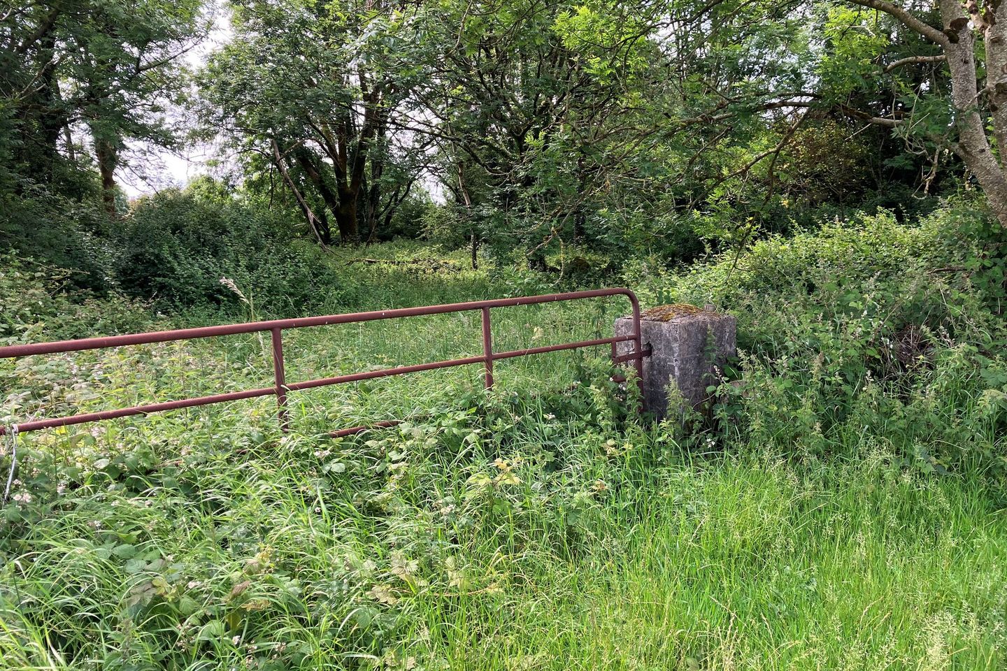 Cregmore, Claregalway, Co. Galway