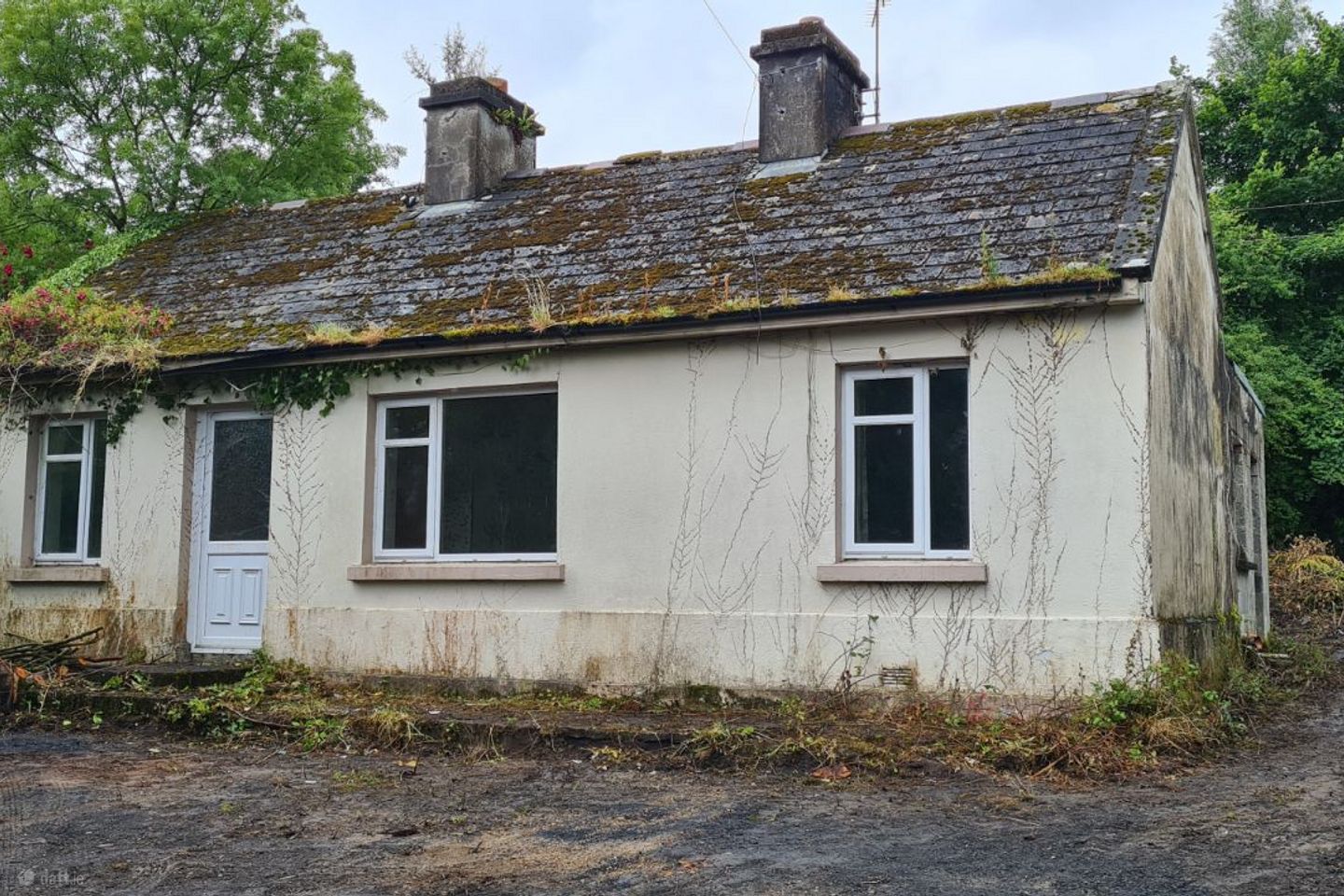 Newtown, Clonlara, Clonlara, Co. Clare, V94H3KH